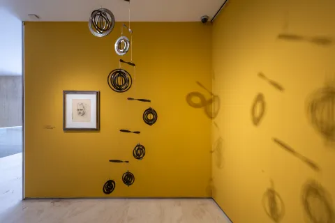 MACA - Museo de Arte Contemporáneo de Alicante