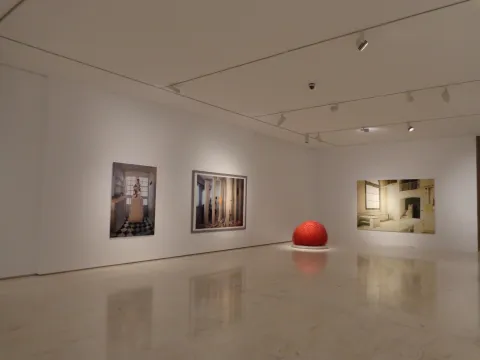 DSC00882.jpg